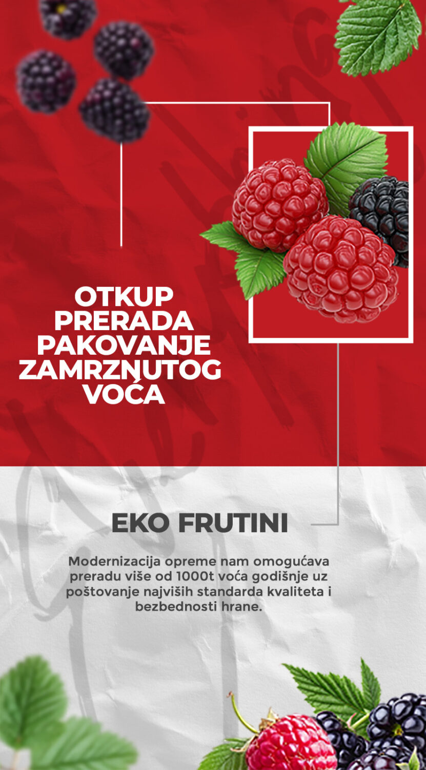 Eko Frutini