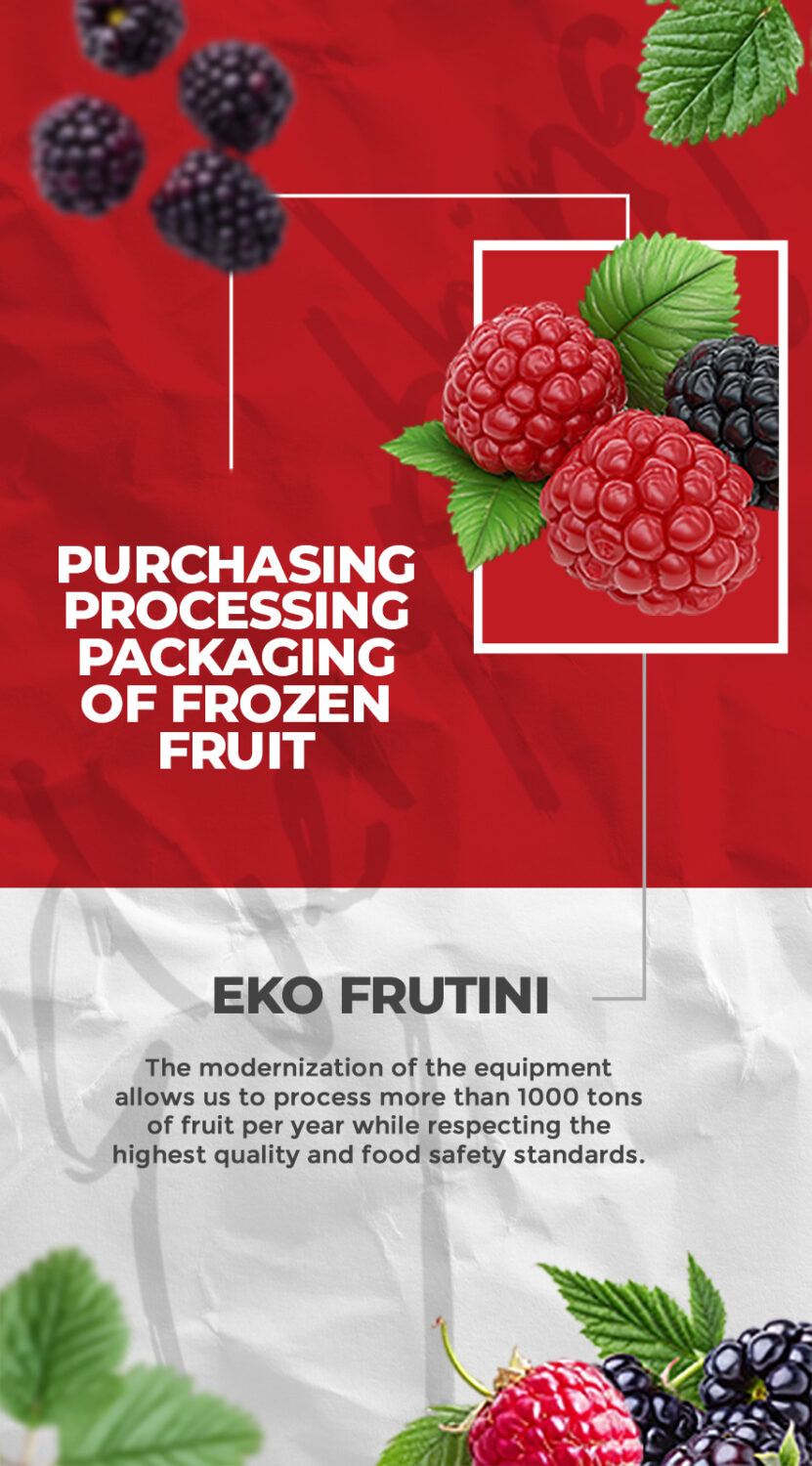 Eko Frutini