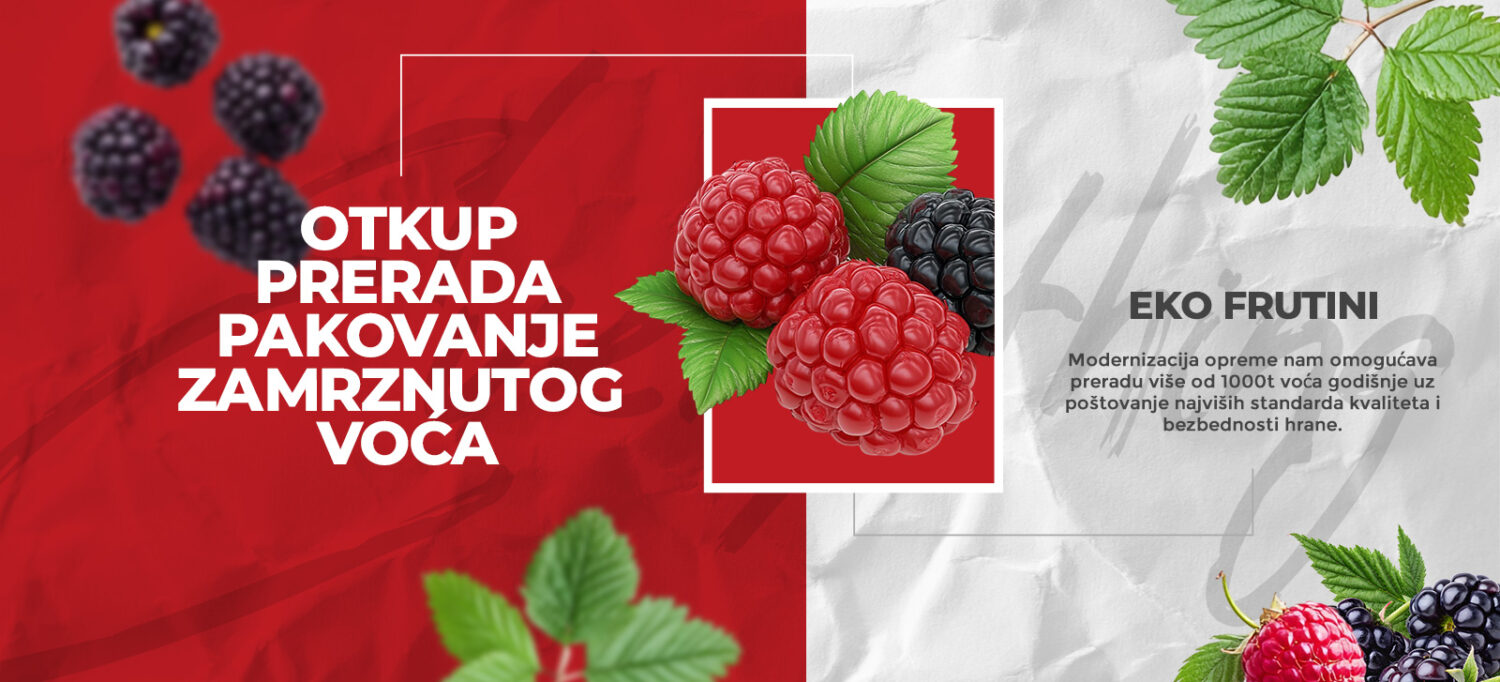 Eko Frutini